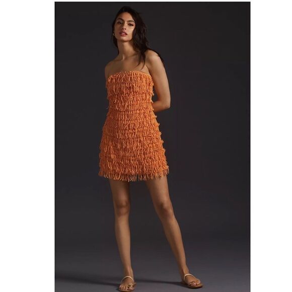 Anthropologie Dresses & Skirts - Anthropologie Let Me Be Fringed Tube Mini Dress